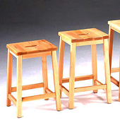 Ls2301 Lab Stool